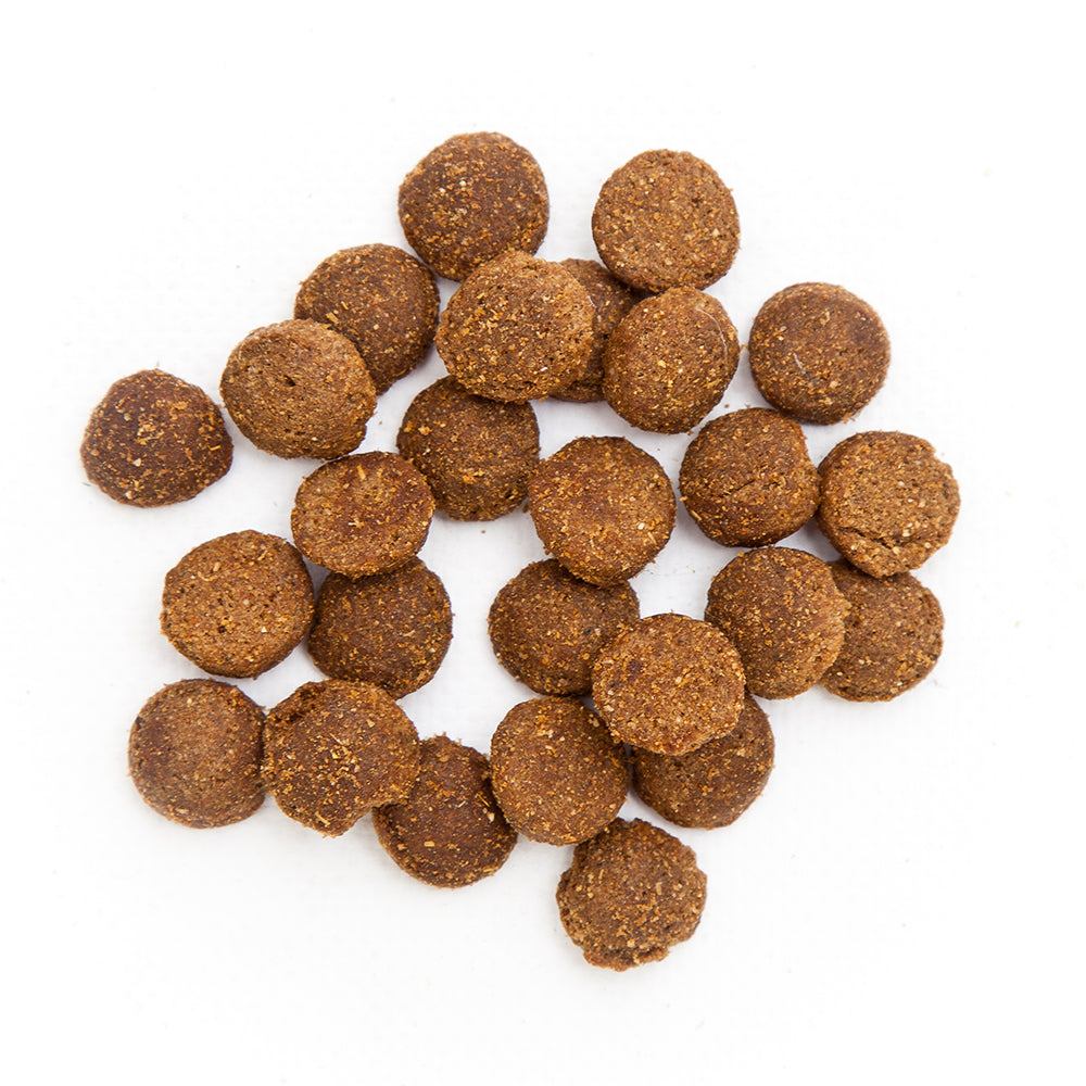 Clinivet Large Breed Puppy