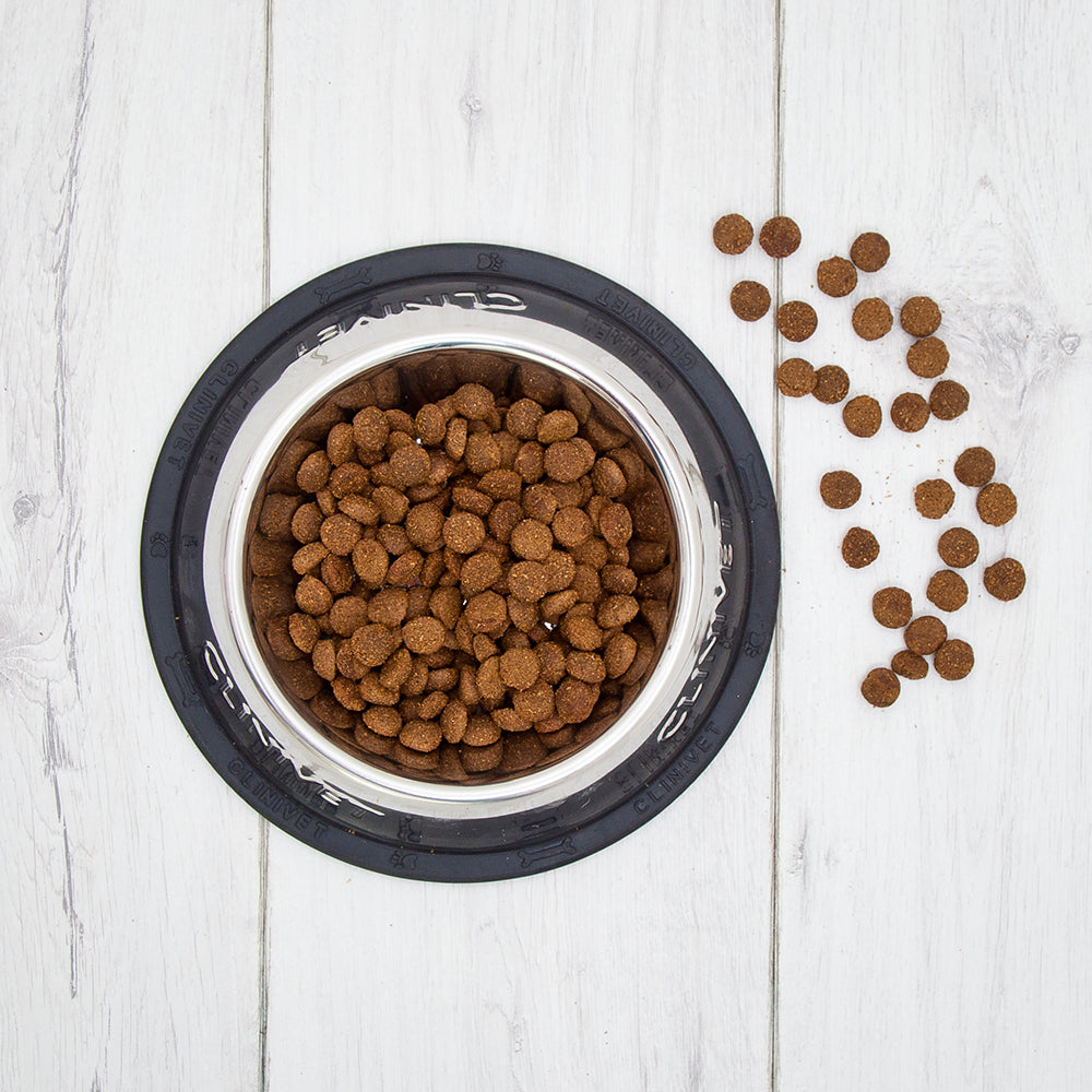 Clinivet Large Breed Puppy
