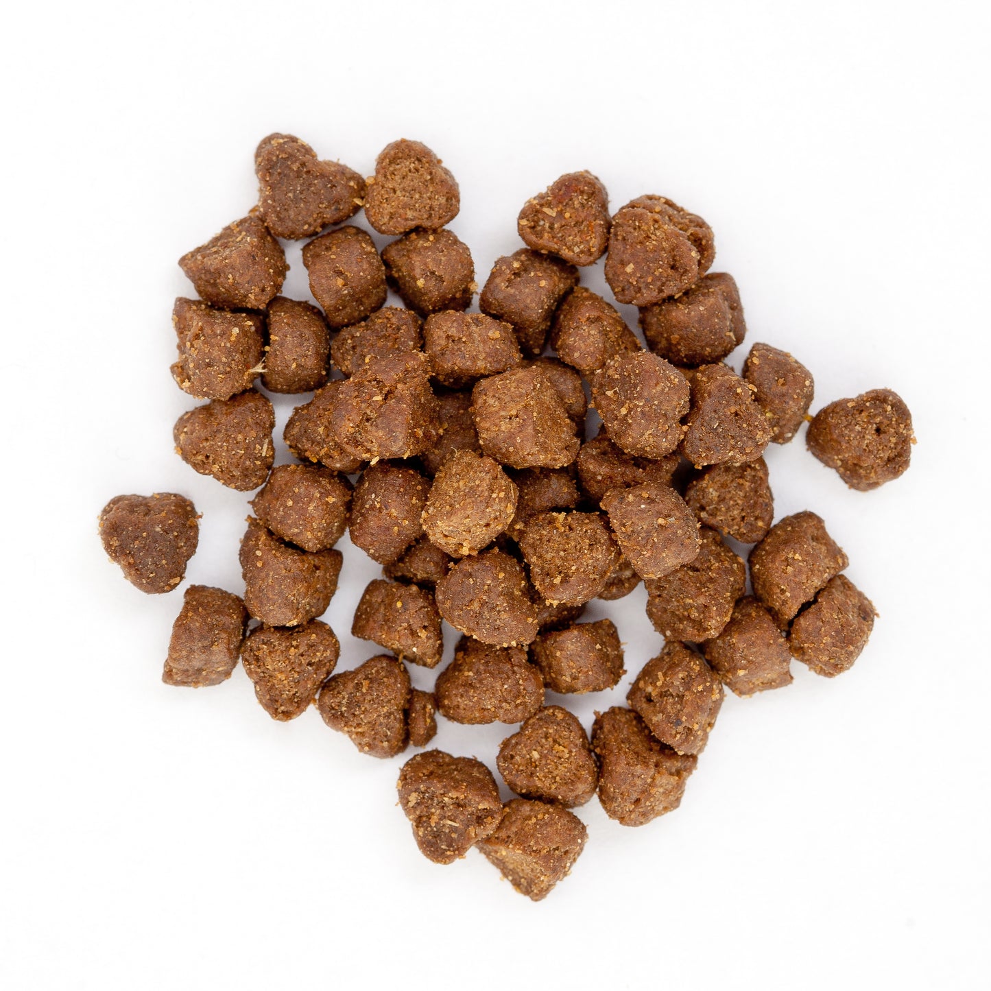 Clinivet Puppy