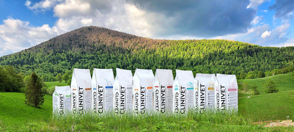 Supporting Dogs Digestive Health With a Carefully Formulated Diet