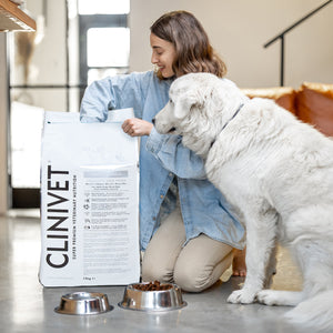 How Clinivet’s Premium Dry Adult Dog Food Range Promotes a Shiny Coat and Healthy Skin