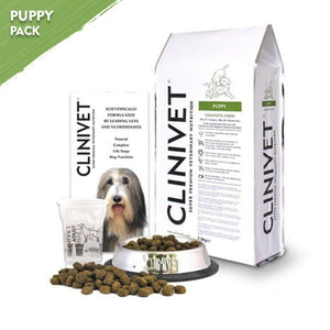 Tips for Maintaining Your Dog’s Healthy Weight